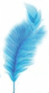 Blue feather on a white background.